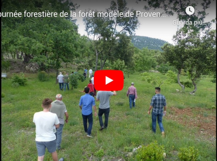 The tour of Provence Model Forest