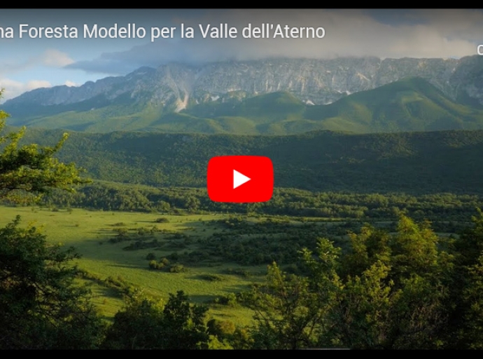 Una Foresta Modello per la Valle dell'Aterno