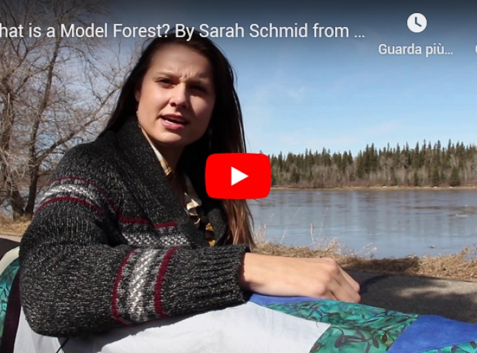 What is a Model Forest? By Sarah Schmid from Prince Albert Model Forest