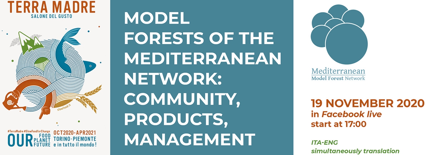 Webinar - The Model Forest of Mediterranean Network: community, product, management 