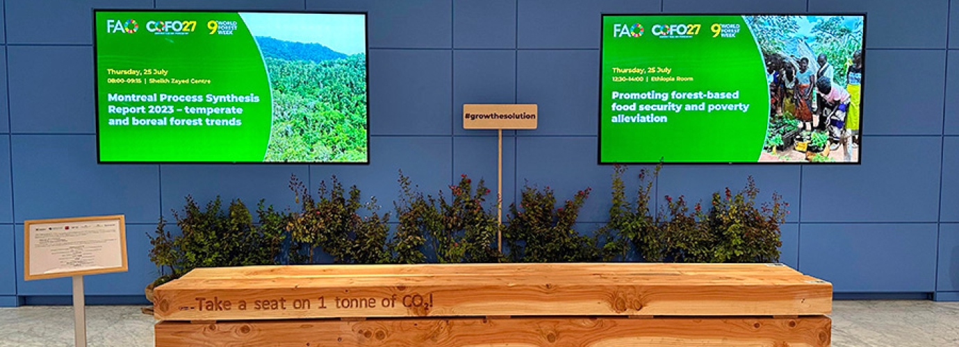 Take a seat on 1 tonne of CO2! At FAO in Rome a wood bench turn the spotlight on the Model Forests