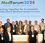 The MMFN gathered in Barcelona for the MedForum, shaping the role and vision of the Network towards sustainable and resilient Mediterranean forests