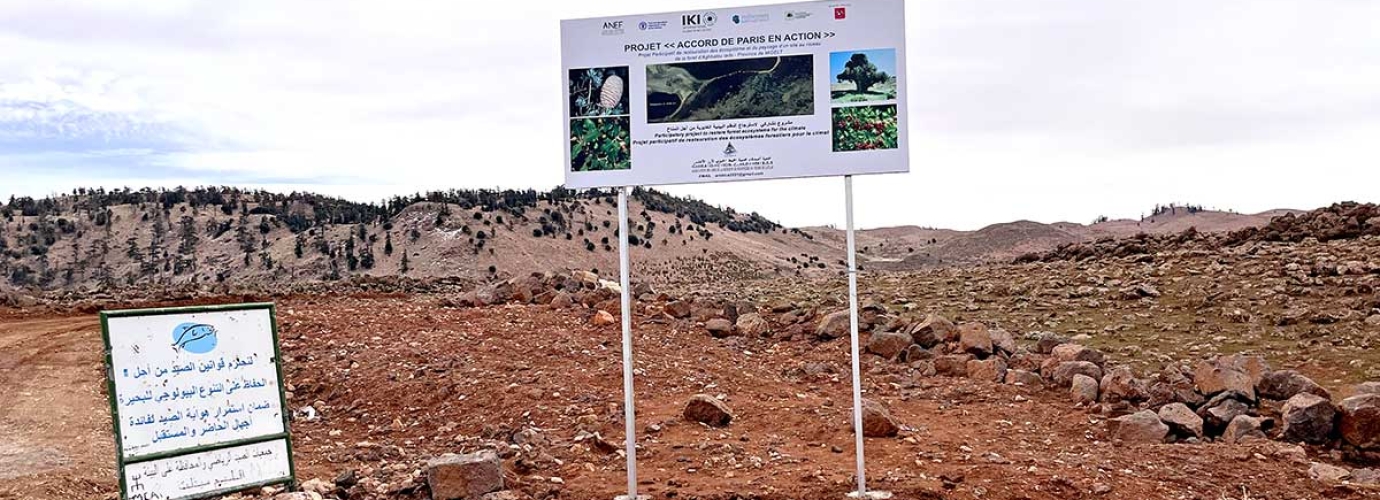 “L'Accord de Paris en Action”: An IKI-Funded Project for Forest and Landscape Restoration in Morocco