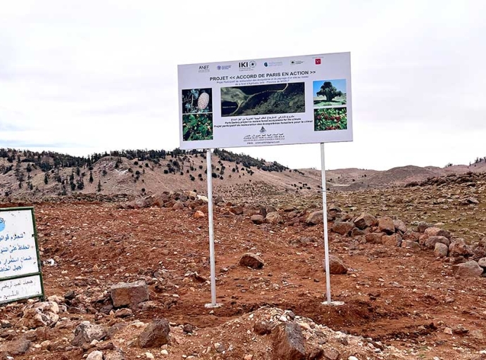 “L'Accord de Paris en Action”: An IKI-Funded Project for Forest and Landscape Restoration in Morocco