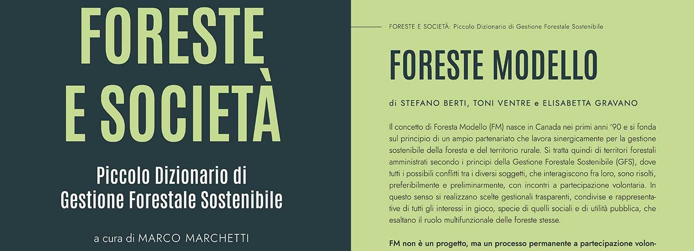 What does Model Forest mean? An answer inside the Italian small dictionary “Forests and Society”