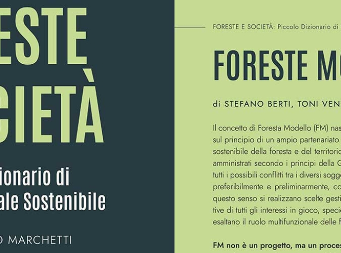 What does Model Forest mean? An answer inside the Italian small dictionary “Forests and Society”