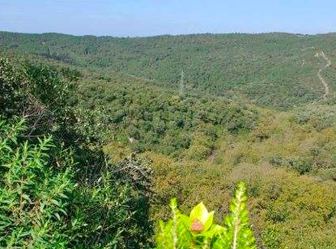 Tunisia joins the Mediterranean Model Forest Network with new initiative