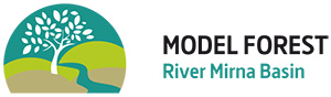 River Mirna Basin Model Forest